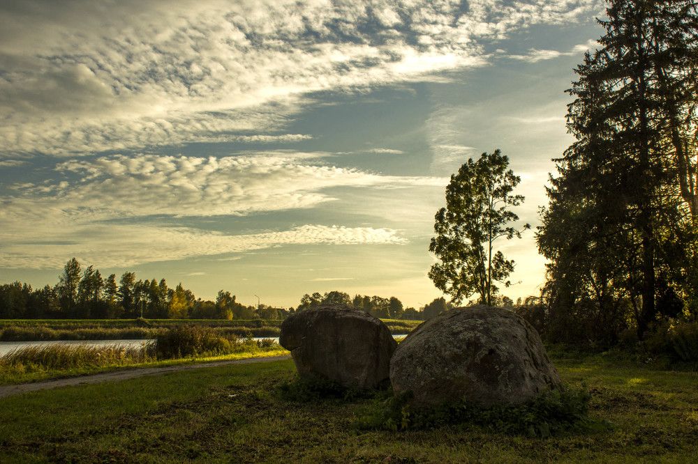 Photograph by 