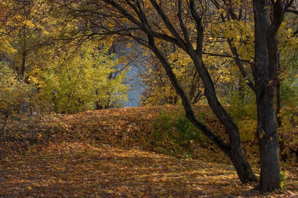 Фотография автора Ольга Белоусова