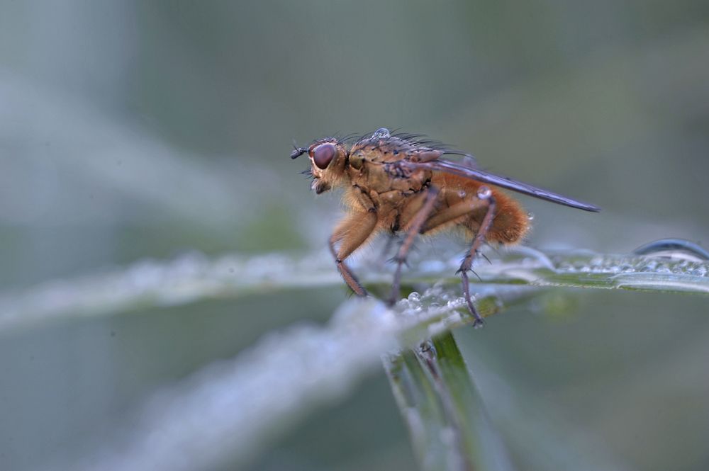 Photograph by Александр Гвоздь