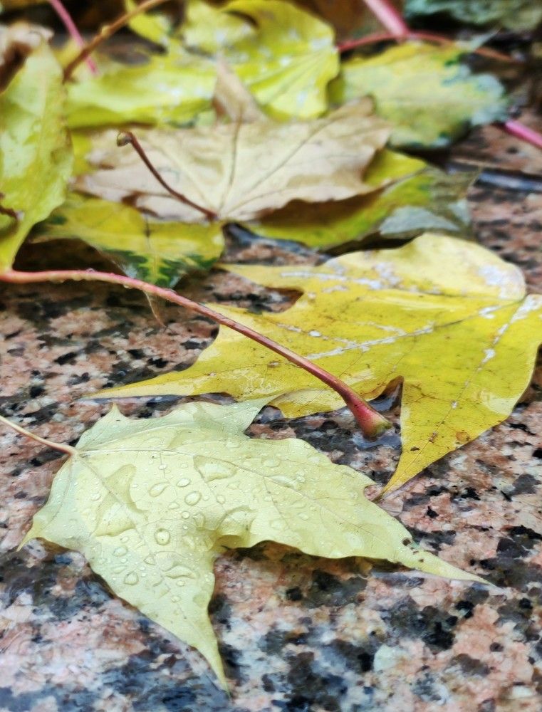 Photograph by Екатерина Иваненко