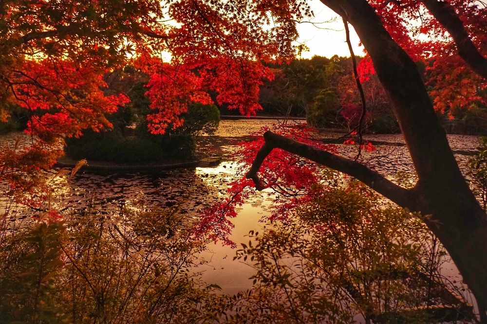 Photograph by Tatyana