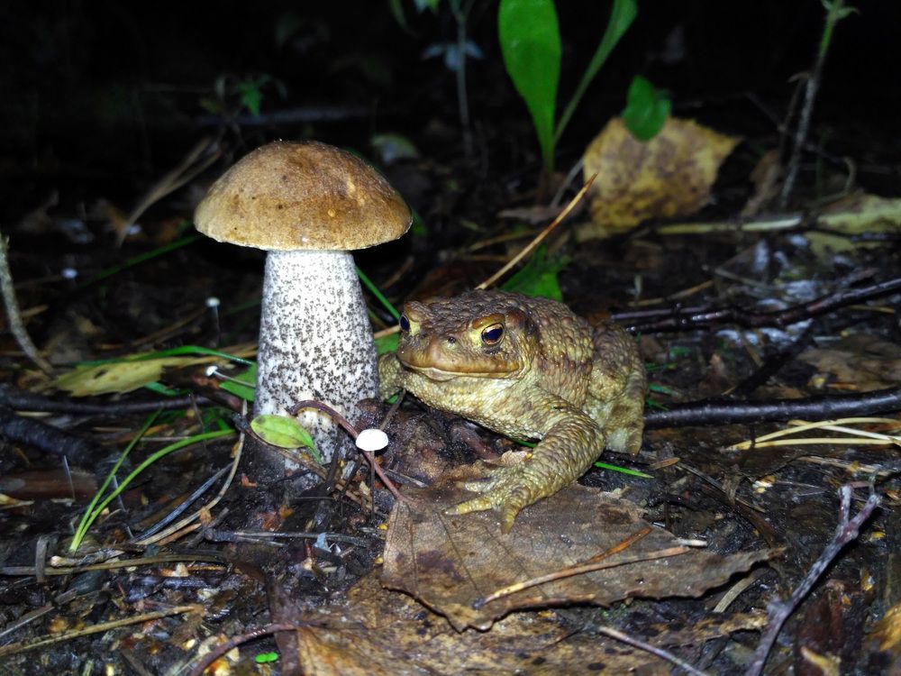 Photograph by Ксения Дудкина