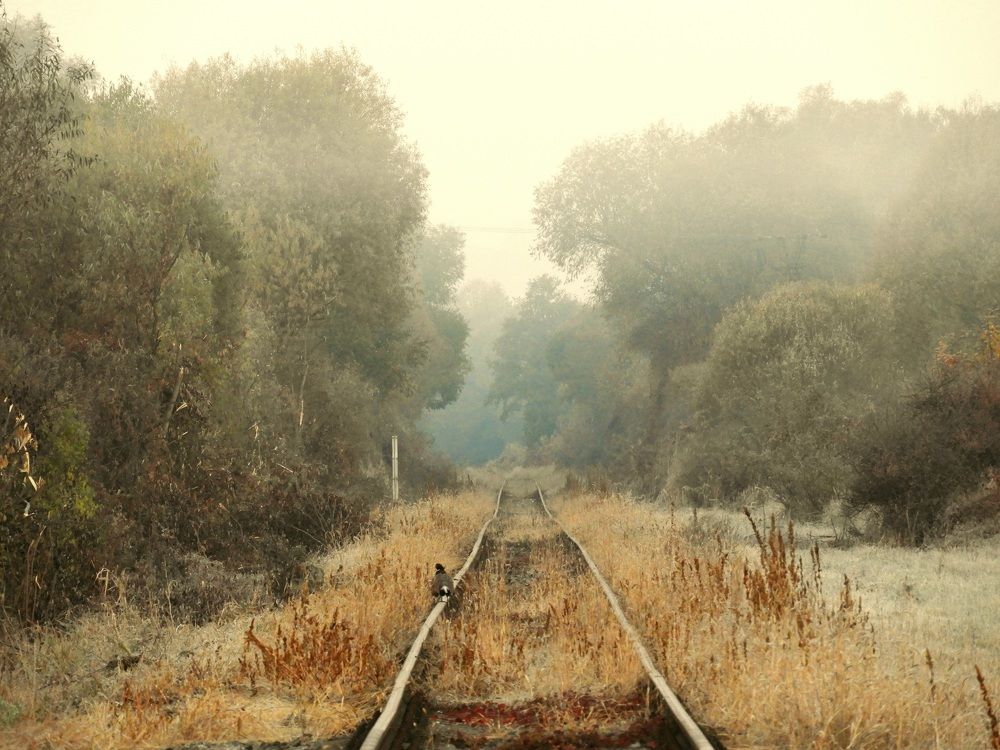 Фотография автора Bastini Gabriele