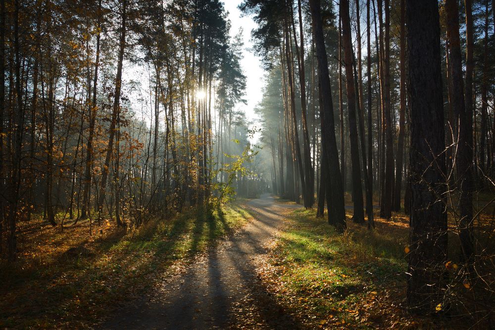 Photograph by Олег Чубайкин