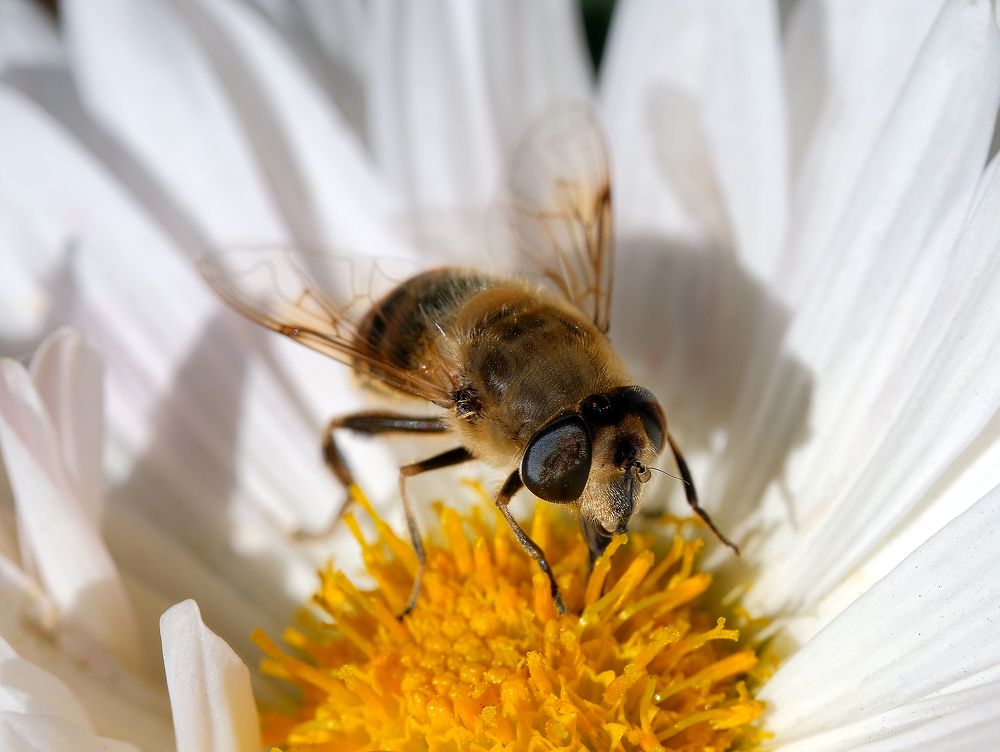 Photograph by Сергей Челахов