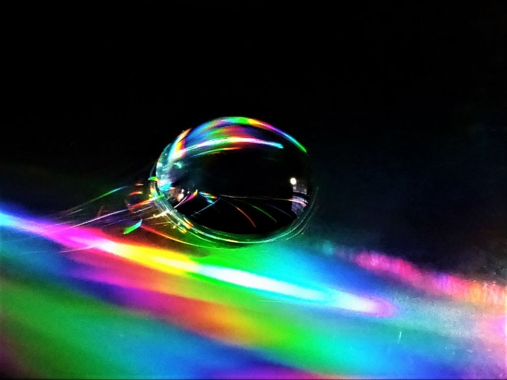 Photograph by UWE SÜSSMANN