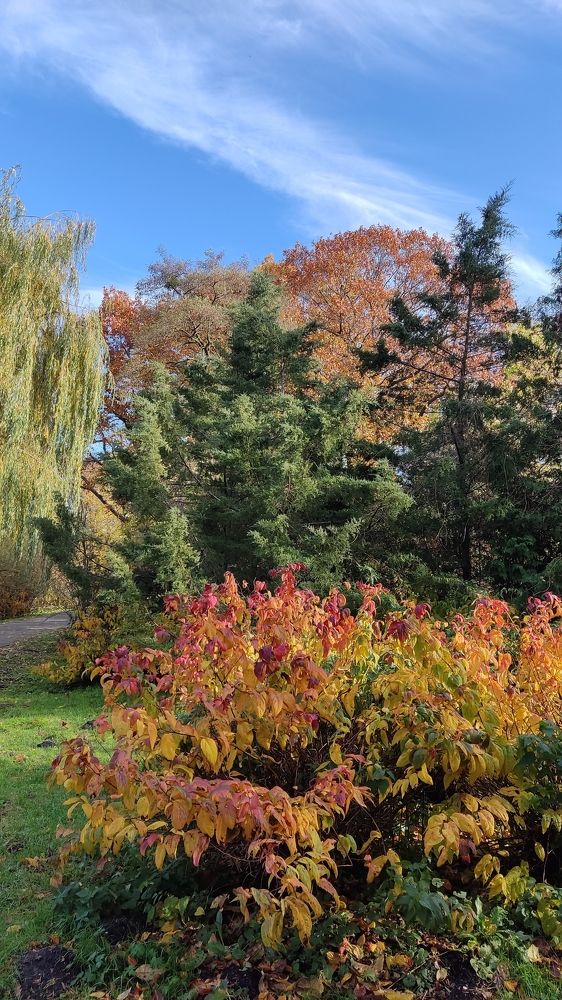 Photograph by Алена