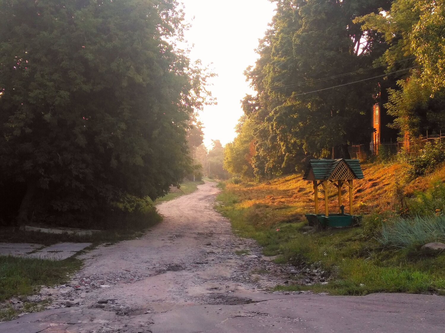 Photo #6663698