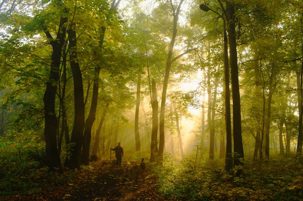 Дед Мороз тренируется осенью)))