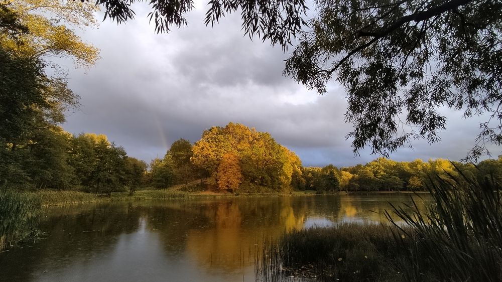 Photograph by Алена