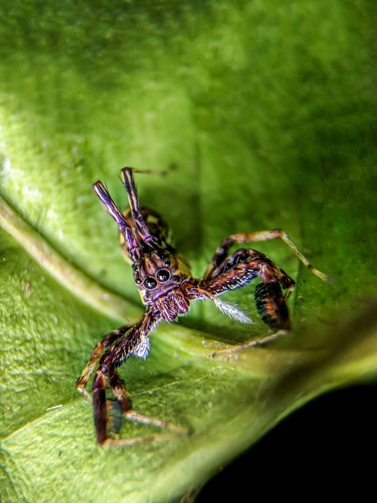 Photograph by sandhya kudli