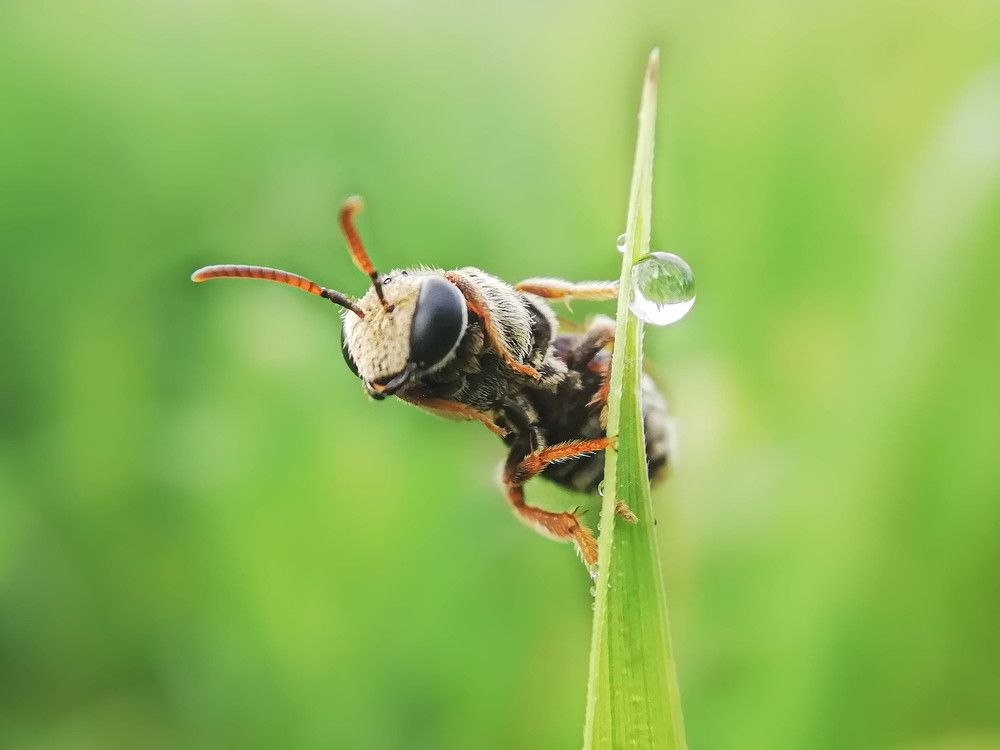 Photograph by H Gunathilake Malmi