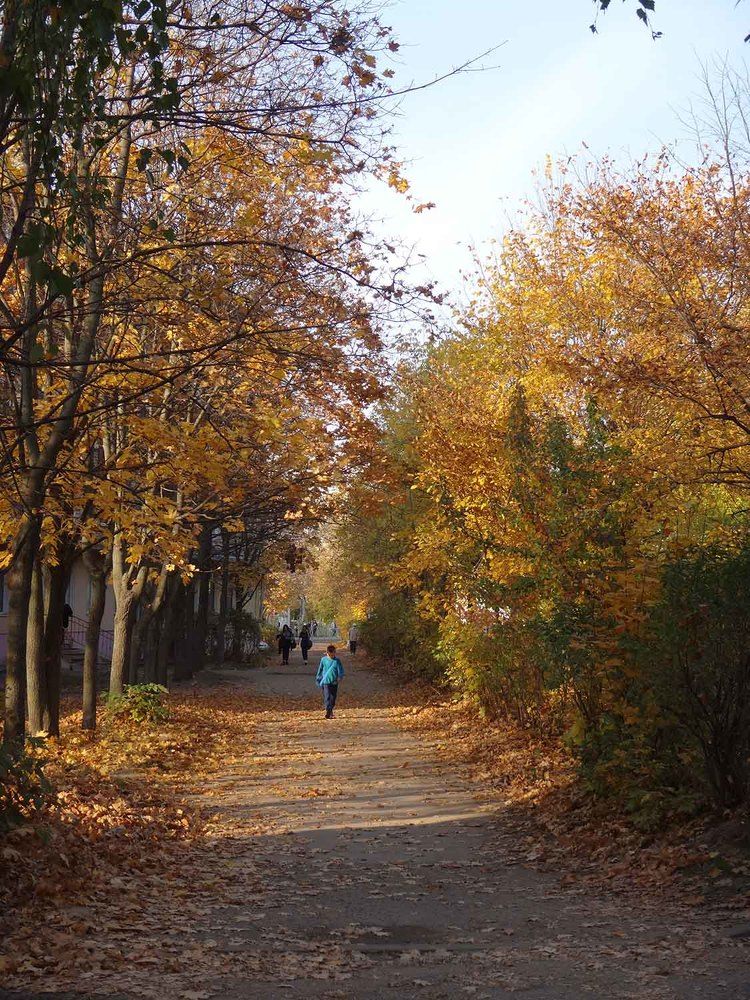 Photograph by Игорь Пшеничников