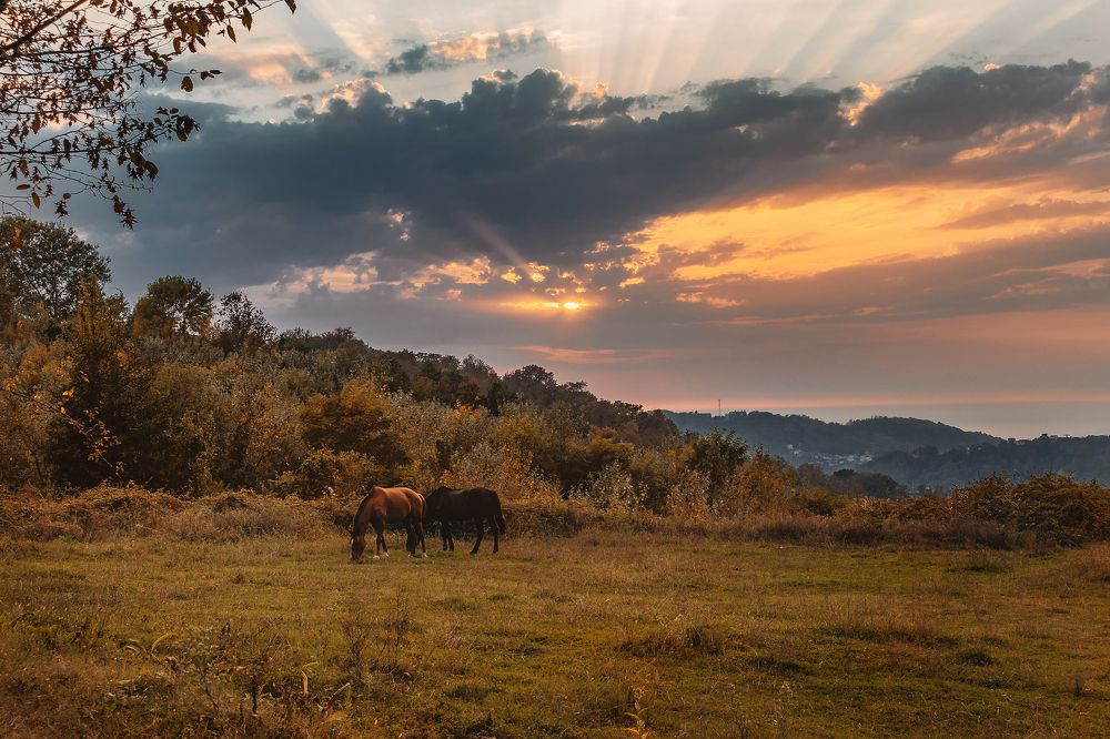 Photograph by Виталий Шкадинов