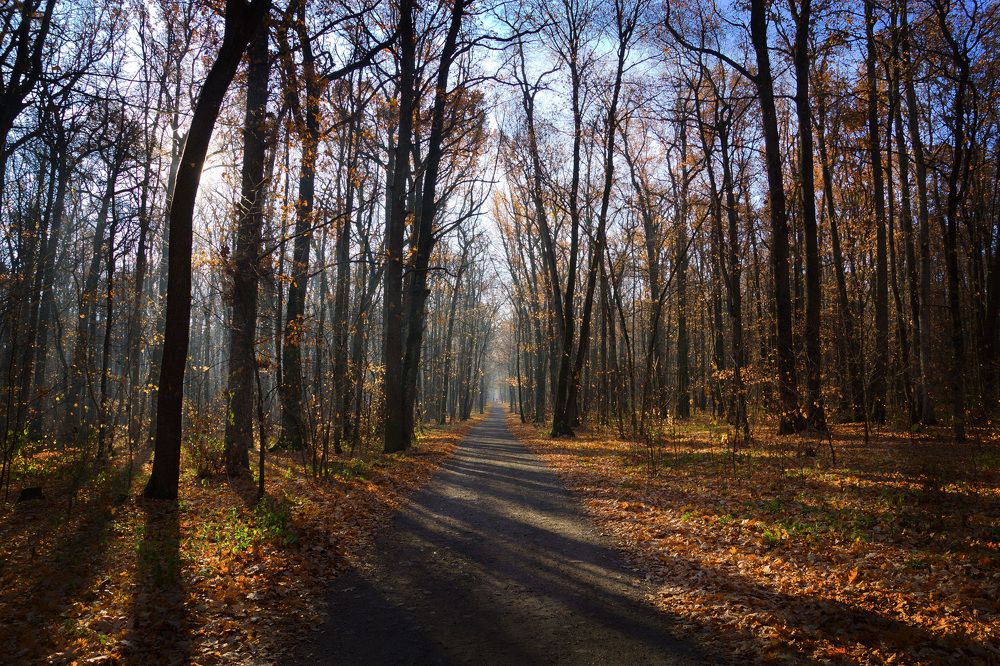 Photograph by Олег Чубайкин