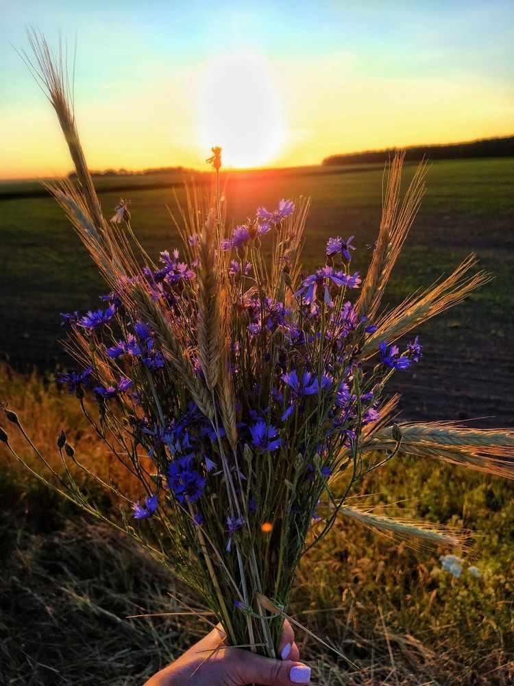 Фотография автора Анна