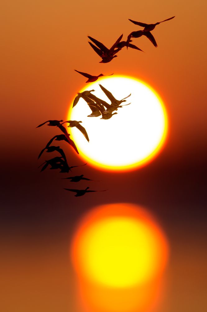 Photograph by Anna Suchcicka