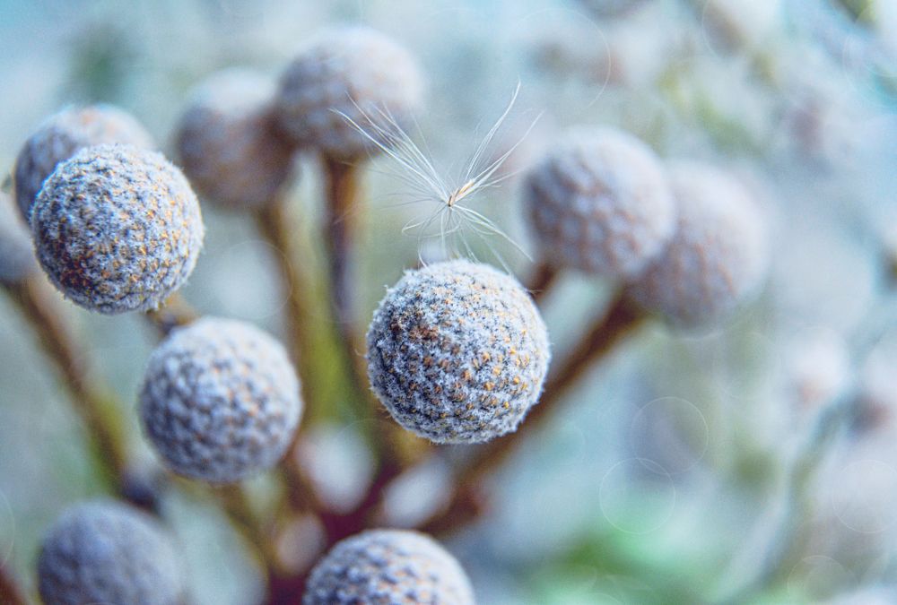 Photograph by Светлана Перминова