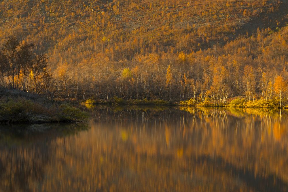 Photograph by Наталия Никитинская