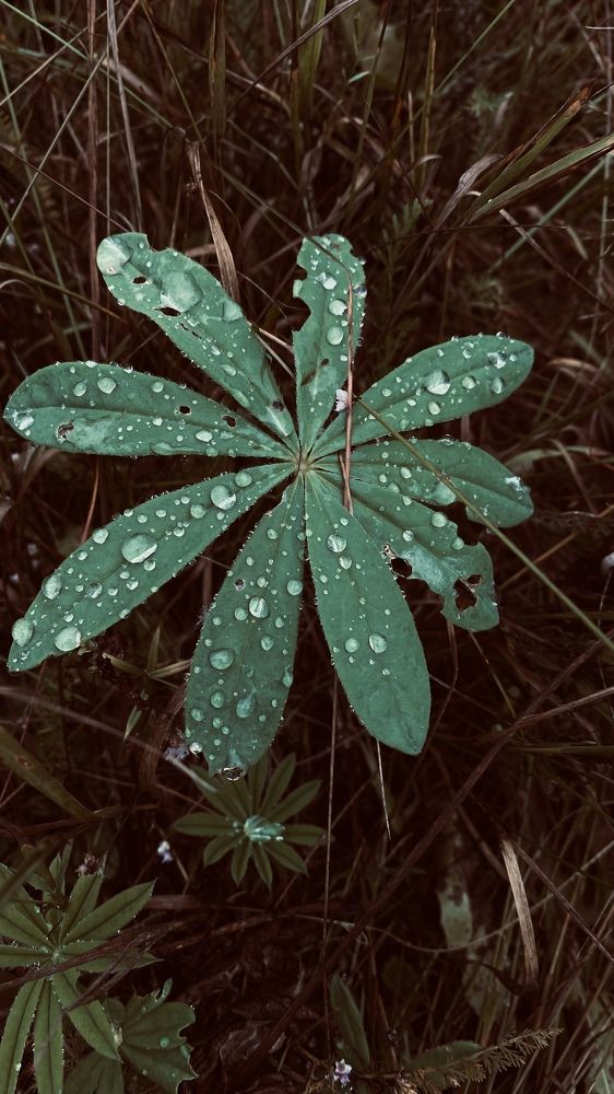 Photograph by Ольга Кушнарева