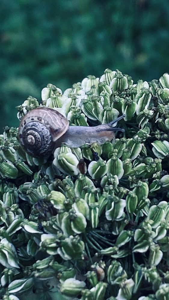 Photograph by Ольга Кушнарева