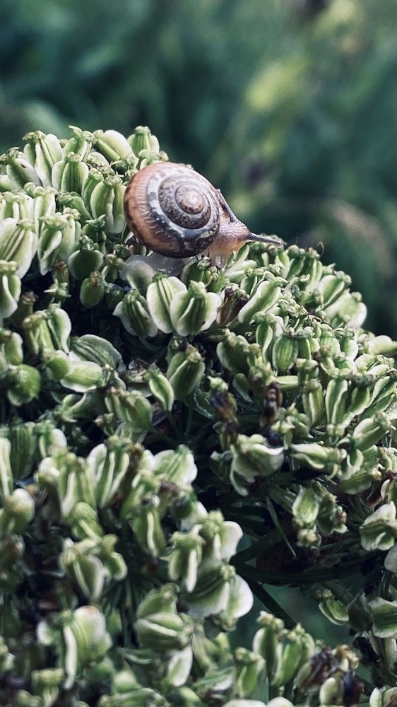 Photograph by Ольга Кушнарева