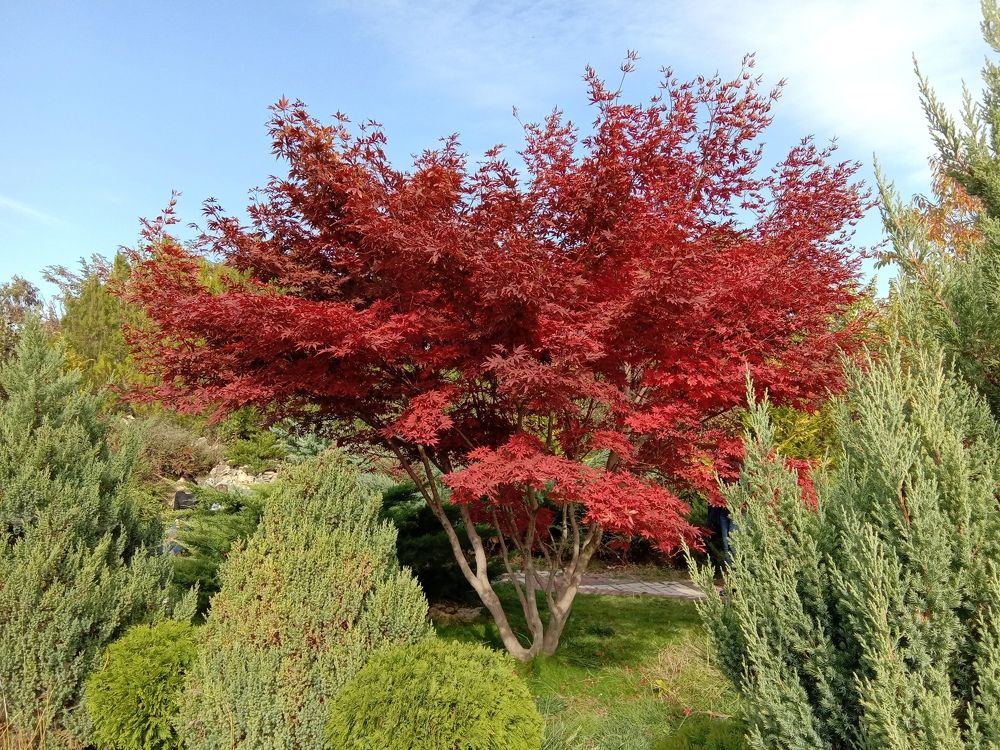 Photograph by Татьяна Стаскевич