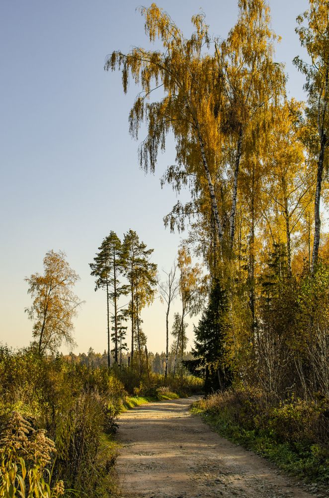 Photograph by Грашин Игорь Алексеевич