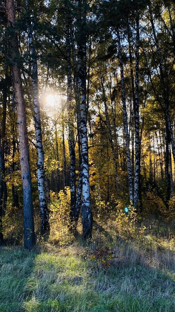 Photograph by Ольга Кушнарева