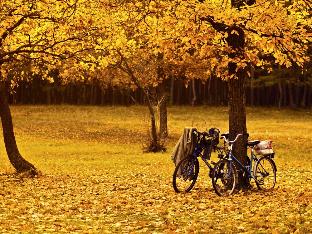 Photograph by Дмитрий Матвеев