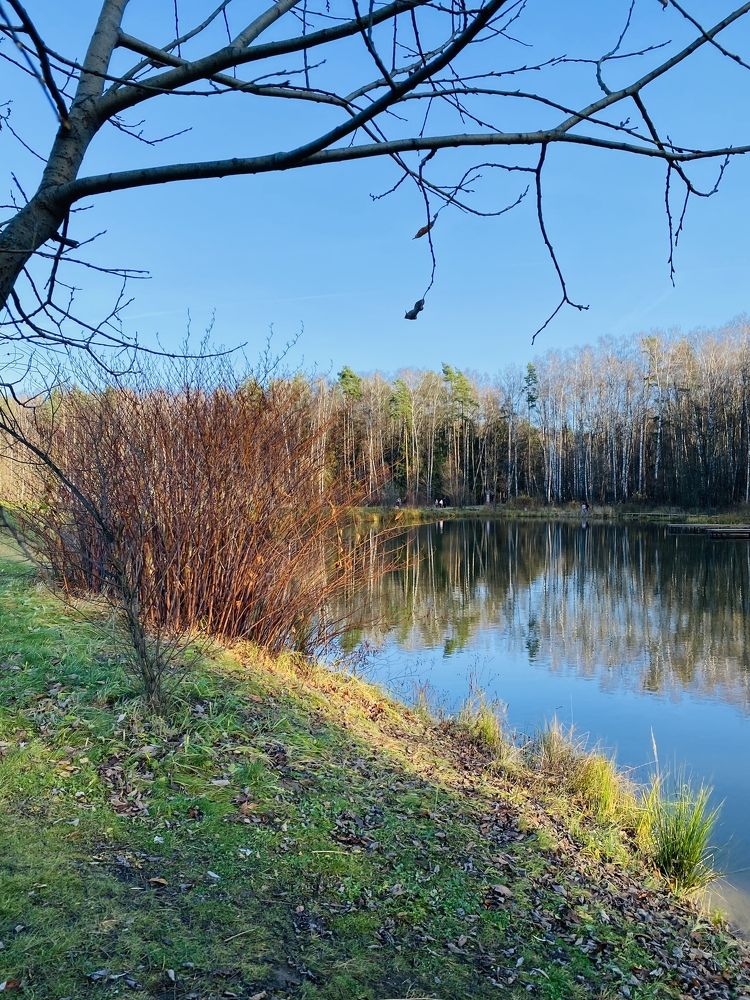 Photograph by Ольга Кушнарева