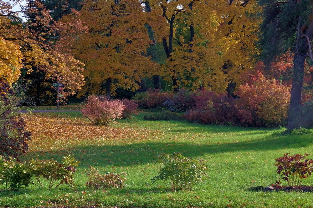 Photograph by Igor Sorokin