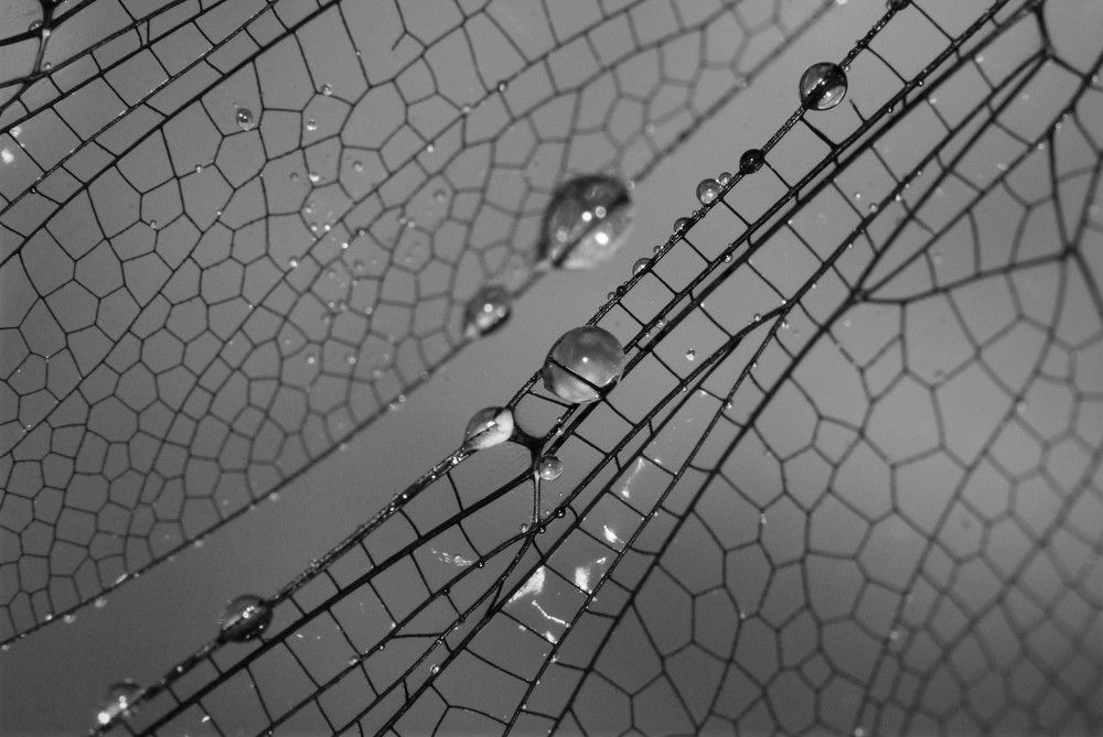 Фотография автора Мария Рохмистрова