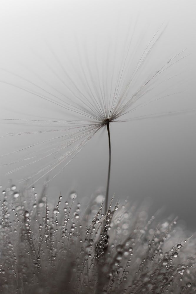 Photograph by Юлия Голубкова