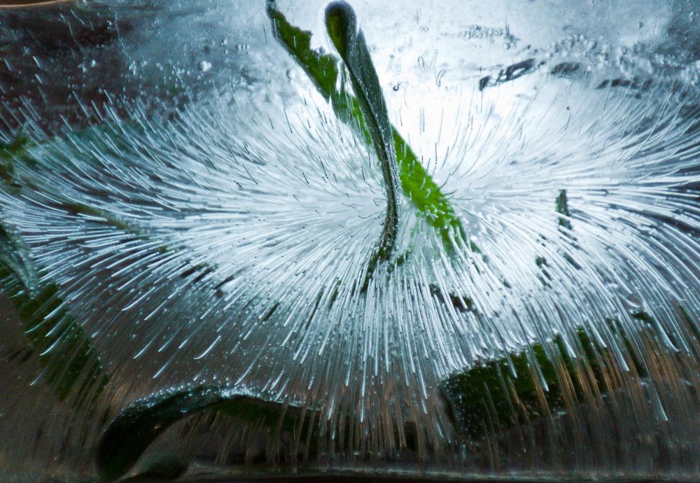 Фотография автора Юлия Кранина