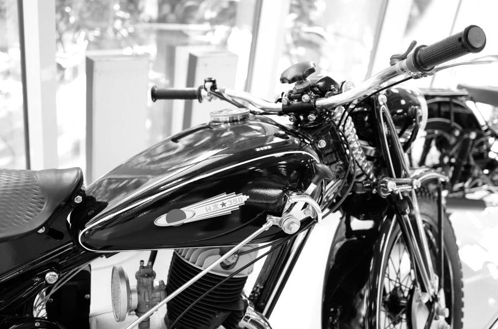Photo #6664182