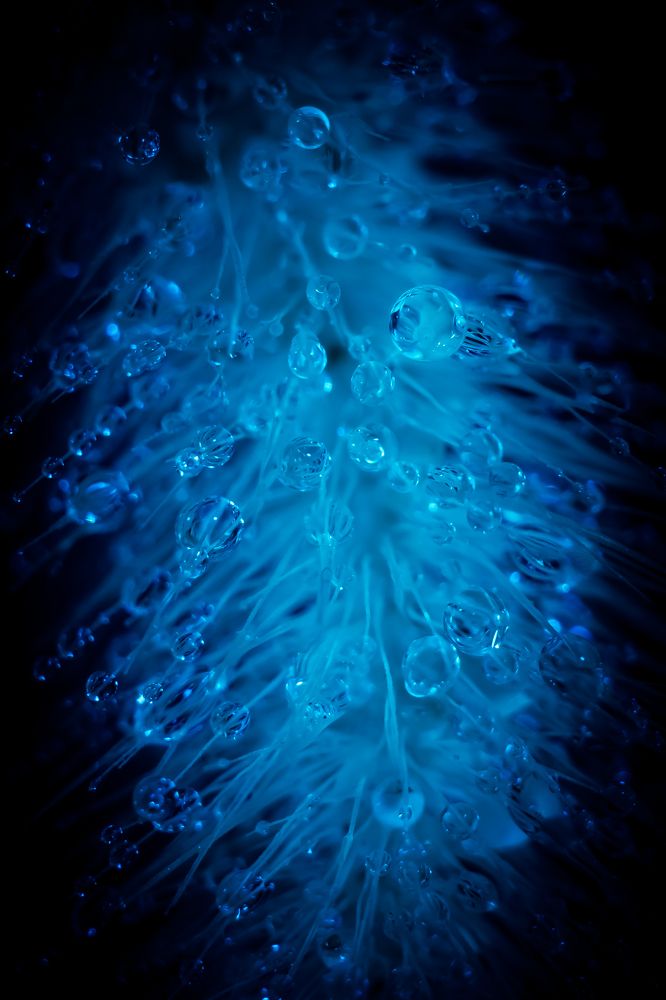 Photograph by Ирина Кротова