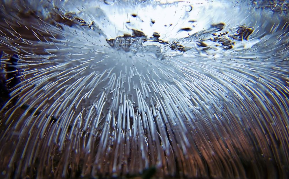 Фотография автора Юлия Кранина