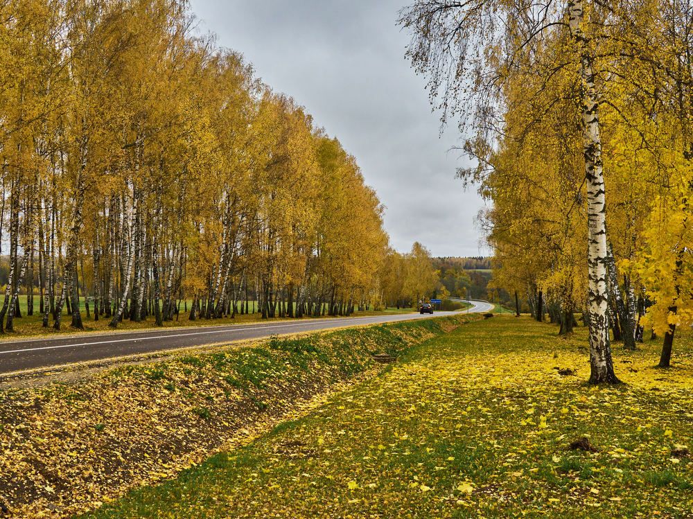 Photograph by Александр Авдушев