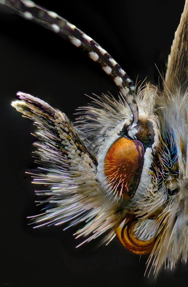 Photograph by Eduardo Modolo