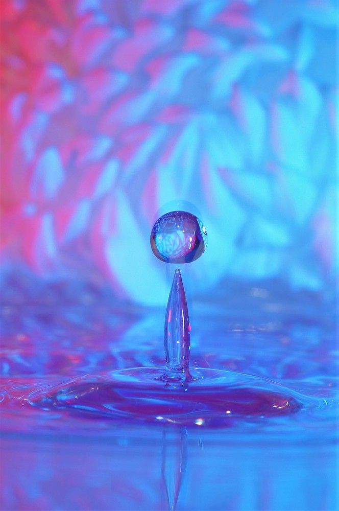 Photograph by Lena Latova