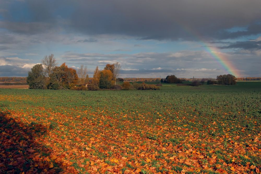 Photograph by Guntars