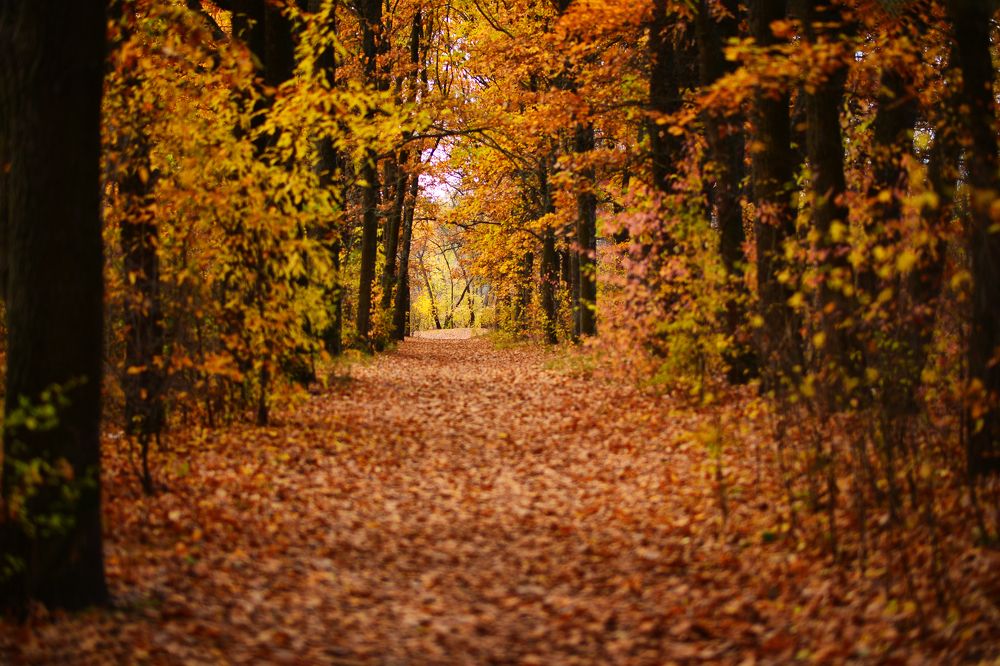 Photograph by Виктория Гарькавенко