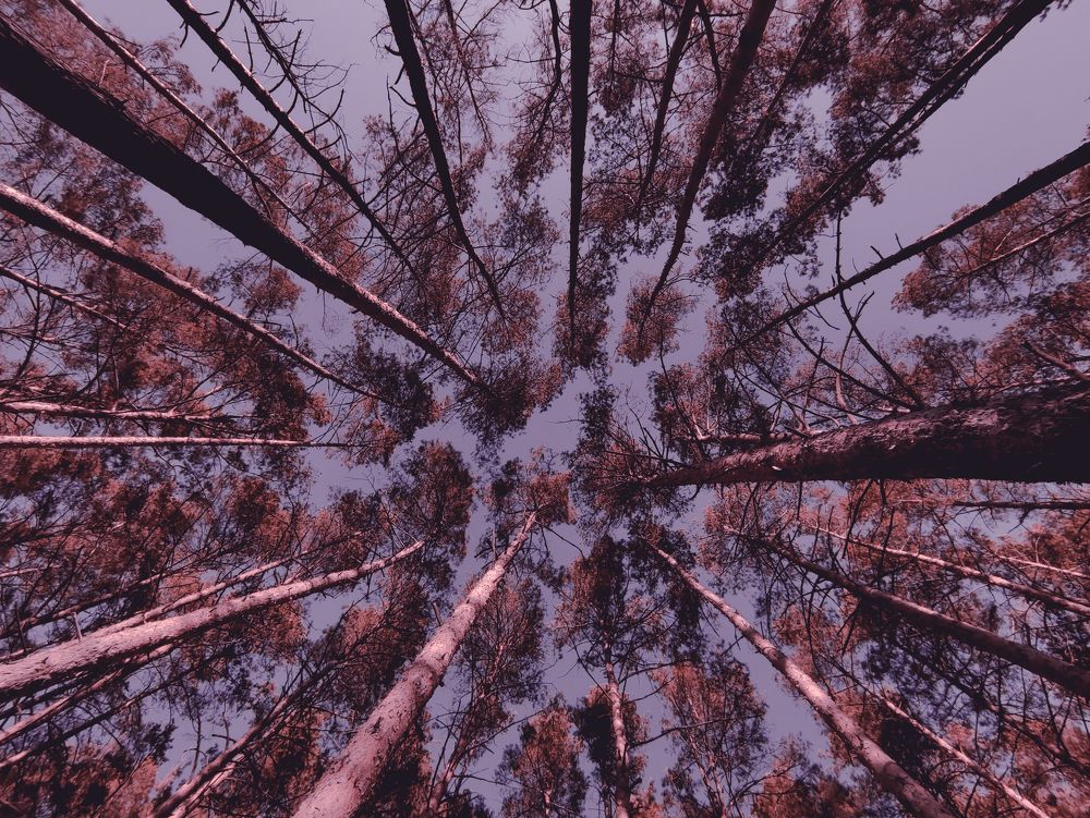 Photograph by Валерия Гончарова-Горобченко