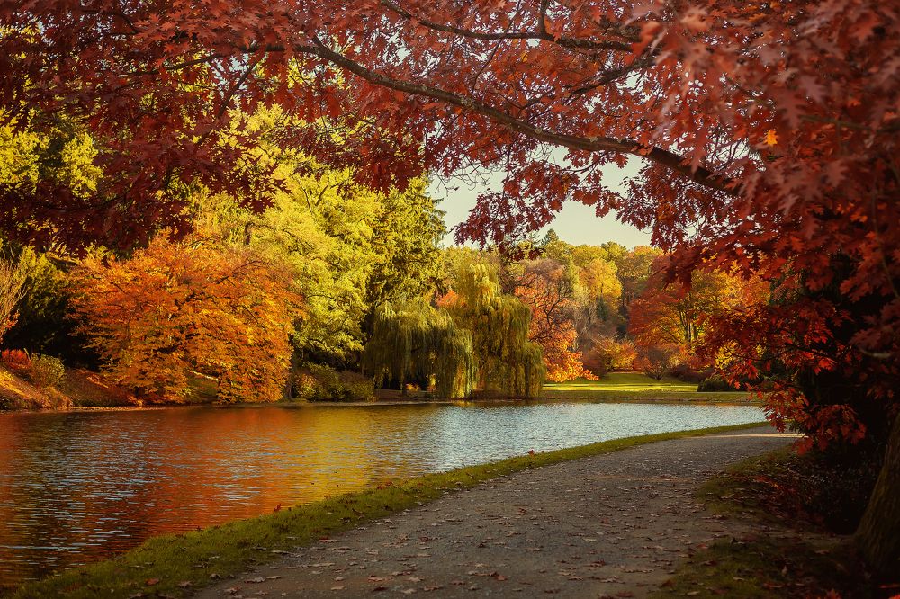 Photograph by Iryna Petrenko