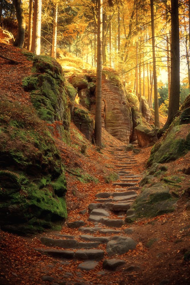 Photograph by Iryna Petrenko