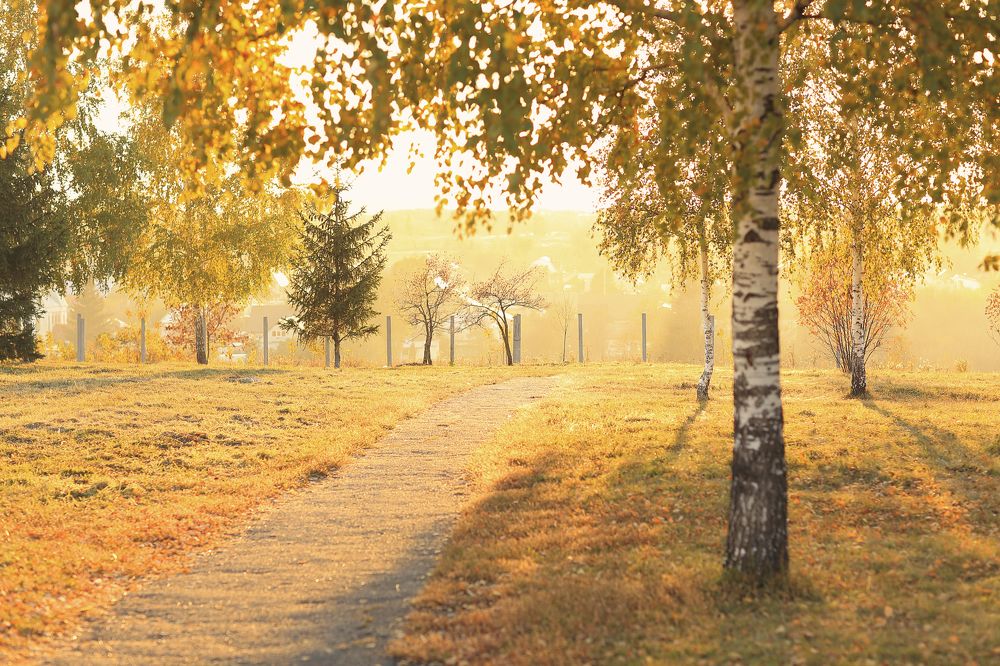 Photograph by Алена