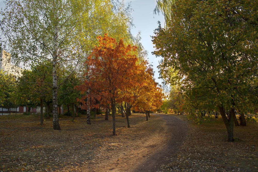 Photograph by Алена