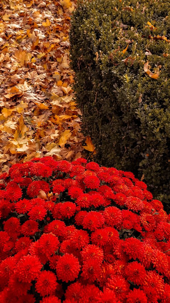 Photograph by Ирина Панкова