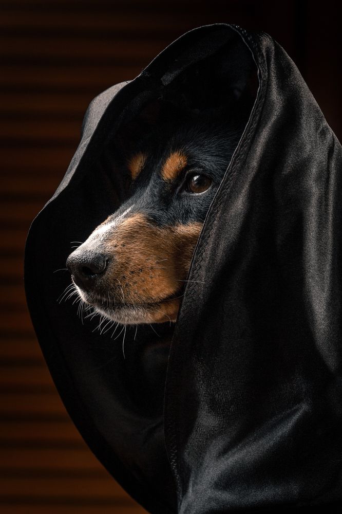 Фотография автора Иван Вострецов